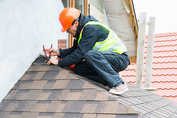 Best Roof Gutter Cleaning  in Munroe Falls, OH